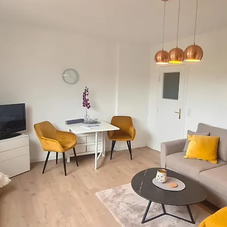 Meeresmoewe Grömitz