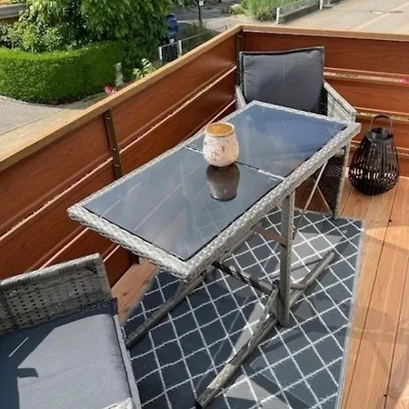 Meeresmoewe Daire Grömitz